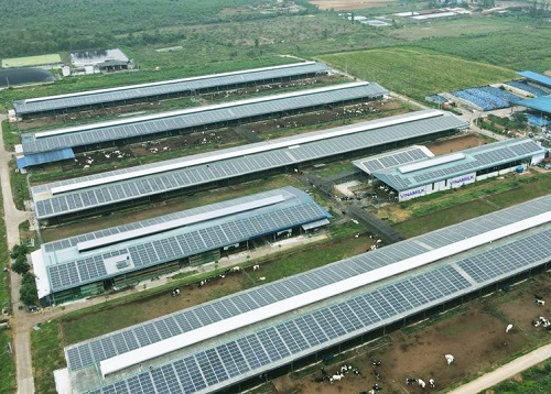 Kệ Drive in tại kho Vinamilk Vinh Châu Đô Lương Nghệ An